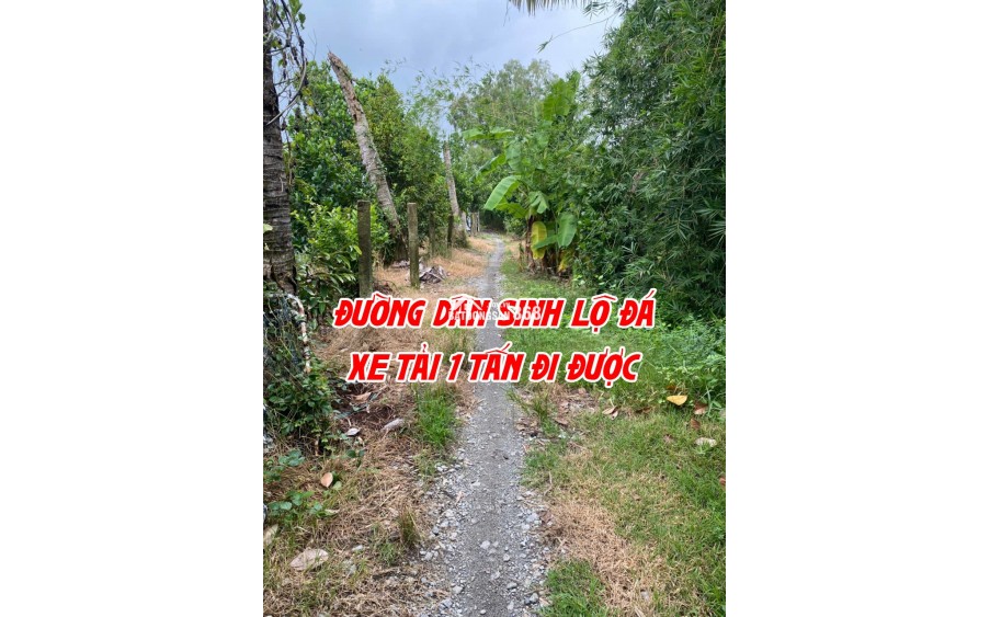 Bán đất ruộng lên ao sẵn tại Cao Lãnh
